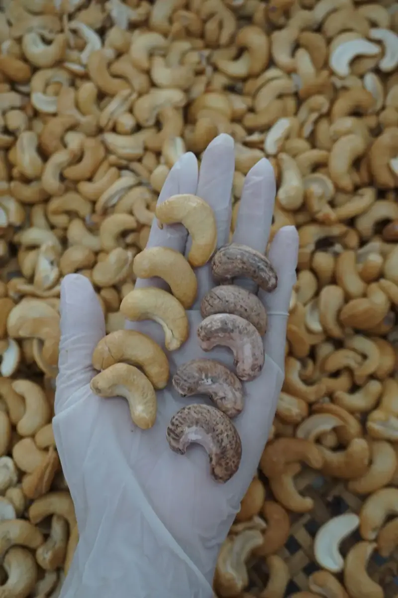 Hạt điều